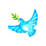 Picture of a Peace Dove with olive branch